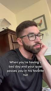 BYC (BackYardChickens)