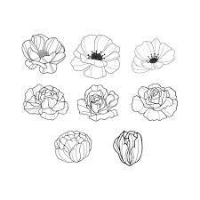 Set Of Hand Drawn Flowers Floral Flowers Hand Png And Vector With Transparent Background For Free Download Flower Drawing How To Draw Hands Hand Drawn Flowers