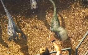 Link e riferimenti da altri articoli e news a echo park. Stunning Raptor Charlie Next To Blue Hits Echo Jurassic World Indominous Rex Tumblr Jurassic Park World Jurassic World Cast Blue Jurassic World