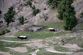 نتیجه جستجوی لغت [nomadic] در گوگل