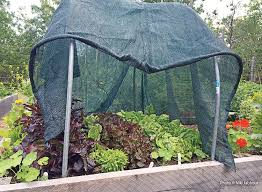 How to divide a vegetable garden. Helpful Products For Vegetable Gardening Garden Gate