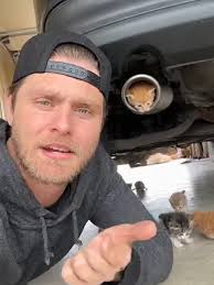 Cat Crawling in Muffler