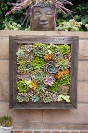 Maybe you would like to learn more about one of these? 13 Outdoor Succulent Wall Garden Ideas Dalla Vita