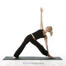 Yoga Poses Yoga Poses Triangle Pose Yoga Poses For Beginners