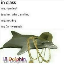 Tumblr On Instagram Lil Dolphin Is Already Better Than All Of These New Age Rappers Relatable Post Funny Funny Pictures Best Funny Images