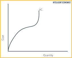 However many goods are produced, fixed costs will remain constant. Theory Of Production Cost Theory Intelligent Economist