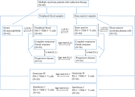 Core retention bone marrow biopsy needle. Quantitative And Functional Characteristics Of Circulating And Bone Marrow Pd 1 And Tim 3 Positive T Cells In Treated Multiple Myeloma Patients Scientific Reports