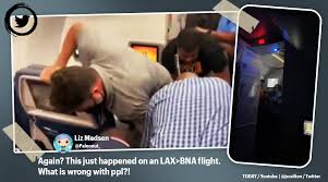 Woman who fed langur falls sick, primate turns up at home and hugs her. Delta Passengers Restrain Off Duty Crew Member Who Threatened To Take The Plane Down Video Goes Viral Trending News The Indian Express