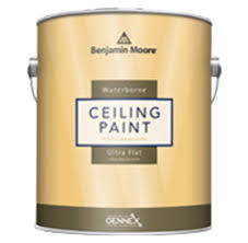 If you would like paint of another specific color, you can also order a custom spray paint >> there. Townline Paint Waterborne Ceiling Paint