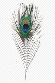 Check spelling or type a new query. Download Single Peacock Feathers Png Hd Krishna Transparent Peacock Feather Png Peacock Feathers Png Free Transparent Png Images Pngaaa Com