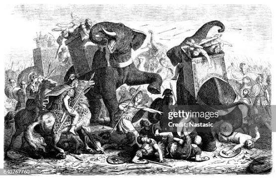 1,518 War Elephant Stock Photos, High-Res Pictures, and Images - Getty Images