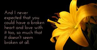 Indecisively Restless Tiger Lily Jodi Lynn Anderson Tiger Lily Lily Book Quotes