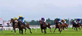 31 Arrested In Pune Over Illegal Horse Racing Betting Horse racing is a straightforward game where the competitors run their horses in different races, with a goal to win the race and conquer the prestigious titles. 31 arrested in pune over illegal horse racing betting