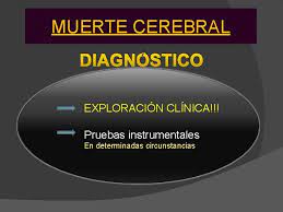 Endothelial dysfunction is the main etiopathogenetic factor of cerebral vascular lesions of small caliber associated with hypertension and metabolic disorders. Diagnstico De La Muerte Cerebral Mediante Angiotcmd M