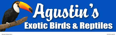 Agustin's Exotic Birds and Reptiles
