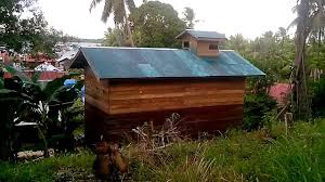 Pembuatan dinding atau tembok dalam rumah walet. 42 Desain Rumah Walet Sederhana Dari Kayu Pics Sipeti