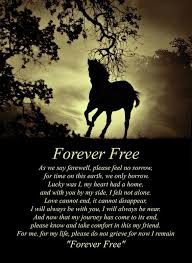 Sepia Forever Free Spiritual Poem With Horse Art Print By Stephanie Laird Horse Riding Quotes Inspirational Horse Quotes Horse Quotes