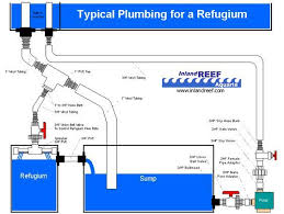 Refugium Plumb Gif 853 644 Aquarium Sump Fish Tank Terrarium Saltwater Aquarium Setup