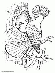 Why not cut it out afterwards to display? 34 Bird Coloring Pages For Adults Free