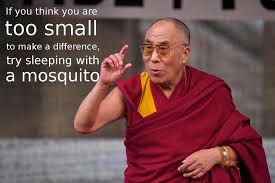 Dalai Lama If You Think You Are Too Small To Make A Difference Dalai Lama Quotes Change Quotes Dalai Lama