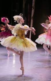 Sarah Thompson Photography Lynette Wills Ballet Dress Sleeping Beauty Costume Sleeping Beauty Ballet