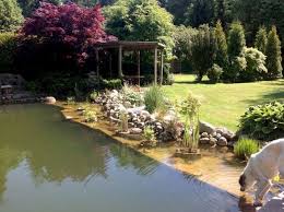 Garten In 2020 Ferienhaus Im Wald Ferien Ferienhaus