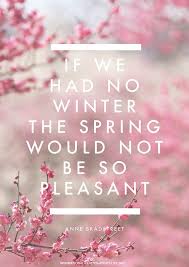 Happiness Quotes About Life Spring Quotes Life Quotes Happy Quotes