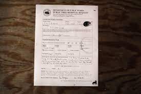 There are nearly 700,000 street trees growing along 6,700 the most efficient way to request service is contact the bureau's service request section at (800) if the tree roots can not be safely pruned, the property owner may request a tree removal permit to. 10 Request For Tree Removal What Is Oak Circle