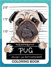 Paisley is such a free form of art especially while doodling. Pug Coloring Book A Dog Fun And Beautiful Pages For Stress Relieving Unique Design Amazon Co Uk Rocket Publishing 9781717745064 Books