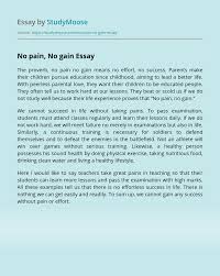 No Pain No Gain Free Essay Example