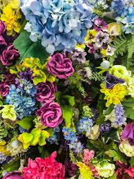 But there is more to floral images. Best 100 Floral Pictures Download Free Images On Unsplash