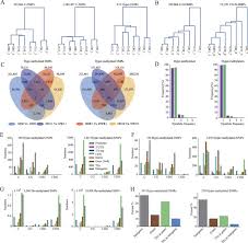 A) 8 semanas e 3 dias. Transgenerational Epimutations Induced By Multi Generation Drought Imposition Mediate Rice Plant S Adaptation To Drought Condition Scientific Reports