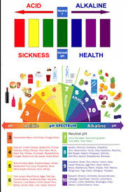 how to balance your ph to heal your body rls new bag