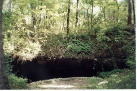 Definition of gopher hole in the definitions.net dictionary. Gopher Hole Spring Sinkhole In Leon Sinks