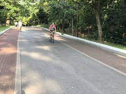 3.14615, 101.63359) is a forest park on the western part of kuala lumpur. Bukit Kiara Park Things To Do In Ttdi Kuala Lumpur