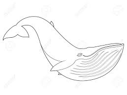 A free black and white little fish clip art image for teachers, classroom lessons, scrapbooking, print projects, blogs, websites, email and more. Illustration Of A Blue Whale On White Background With Black Outline Royalty Free Cliparts Vectors And Stock Illustration Image 54419139