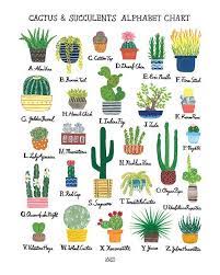 Potted indoor cactuses require transplanting into new pots only when they become too large for the old ones. Cactus Succulent Alphabet Chart Art Print Etsy Cactus And Succulents Cactus Types Types Of Cactus Plants
