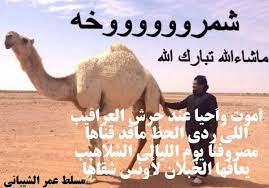Vib خاص نوادرالابل Na Twitteri أموت وأحيا عند حرش العراقيب اللي ردي الحظ ماقد قناها مسلط الشيباني الابل شعر من ابل طلال الشيباني Http T Co Jntuheq7qo