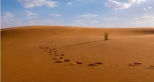 Refleksi hijrah nabi muhammad saw. 5 Pelajaran Penting Dari Peristiwa Hijrah Nabi Islampos