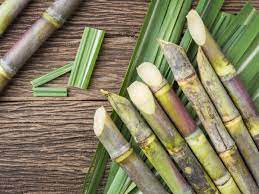 We did not find results for: How To Make Sugarcane Juice At Home