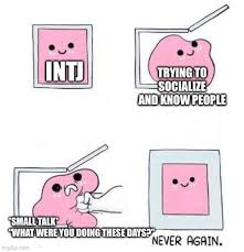 Intj Struggle Intjmemes
