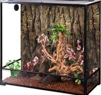 Out of Stock - REPTI ZOO Vertical Tempered Glass Top ...
