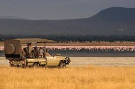 Forest Chem Chem With Daytime Game Drives In Tarangire National Park And Night Drives And Walking Safaris On Chem Chem S Tanzania Walking Safari Safari Lodge