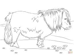 Free clydesdale horse animal printable coloring pages download. Cute Shetland Pony Coloring Page Free Printable Coloring Pages Coloring Home