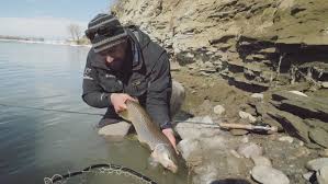 Southern Alberta Hatch Charts Bow River Troutfitters Inc