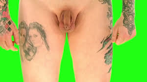 Vídeos porno gay de penes erectos gratis 2025 | xHamster