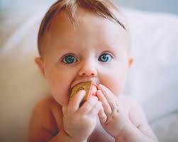 Relais Petite Enfance