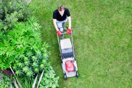Review the companies' online profiles to see if they offer the services you might need, such as lawn mowing, mulching, weed removal or land clearing. 2021 Lawn Care Services Prices Mowing Maintenance Cost