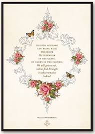 Glory Of The Flower Poem Wordsworth Glory In The Flower We Will Grieve Not Rather Find Strength In Splendour In The Grass Flower Poem William Wordsworth