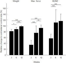 Peripheral Nerve Transfers Change Target Muscle Structure